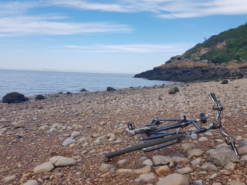 66011320_345261386120740_348796488836448256_n